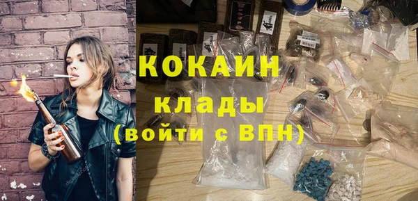 дурь Инсар