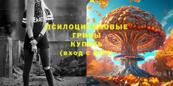 дурь Инсар