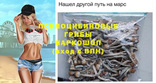 дурь Инсар