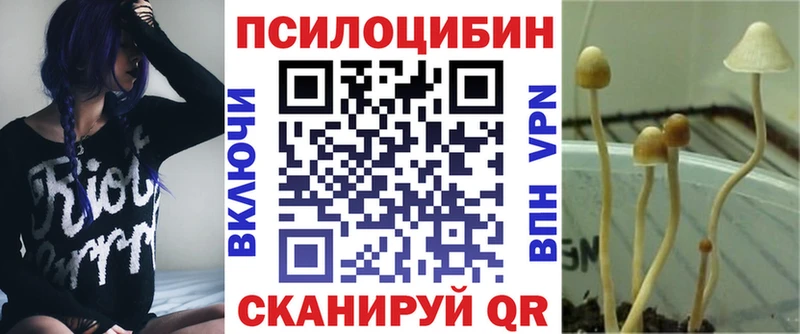 Купить где  Гремячинск  Псилоцибиновые грибы мухоморы 